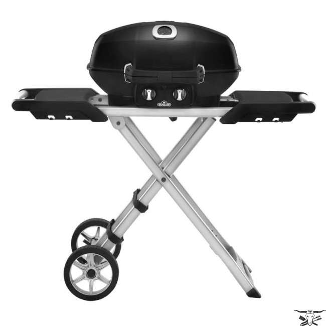 Napoleon Grill – Freestyle™ 425, mit SIZZLE ZONE™