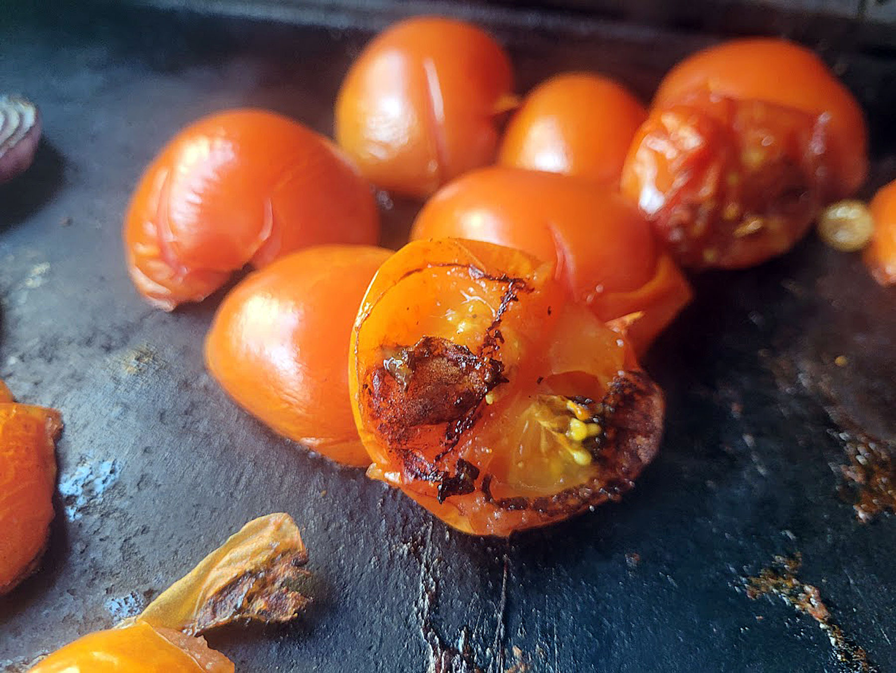 24.04.2026 - Plancha, Feuertonne & offenes Feuer – Bild 6